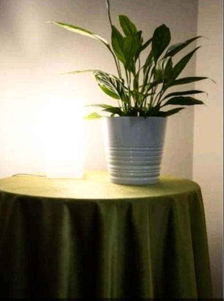 Emi House Re Di , Intero - 80 Mq Apartment Rome